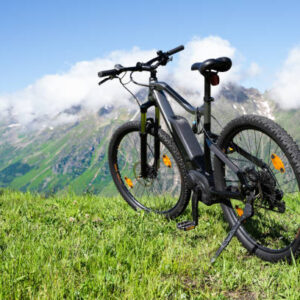 Mountain E-Bike